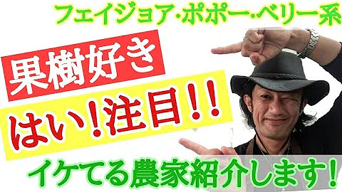 フェイジョア 島 発見 物