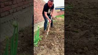 WB #WW1134810