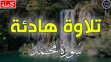 تلاوة هادئة تريح القلب والعقل | سورة محمد