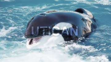 𝑼𝒕𝒊𝒄𝒂𝒏