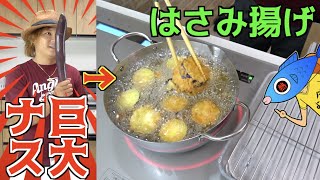 畑で採れた巨大ナスを使って激熱はさみ揚げ！