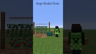 Minecraft Vineyard Ideas