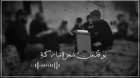 #تلاوة هادئة تريح القلب وتريح الأعصاب بصوت طفل جميل ( الله نور السموات والأرض مثل نوره كمشكاة...)❤️