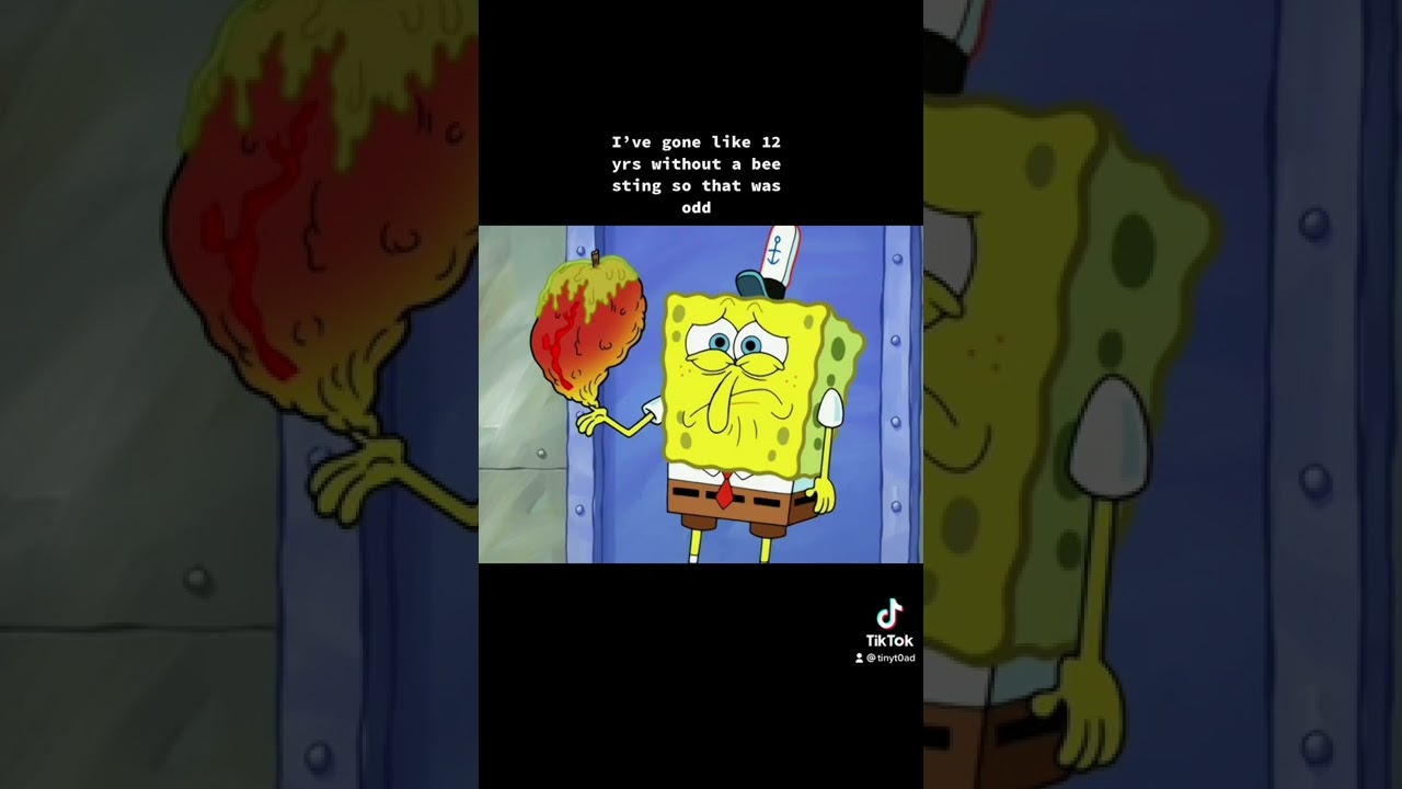 Toadally Wicked Adventure…  