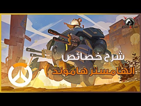 اوفرواتش | شرح خصائص الهامستر هاموند