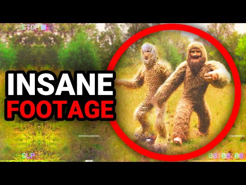 Crazy Trail Cam Footage No One Saw Coming