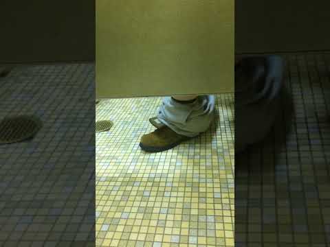 Trucker caught whackin in rest area bathroom lol