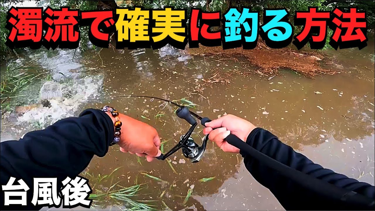 【バス釣り】濁流増水時コレ使ってみて下さい!!
