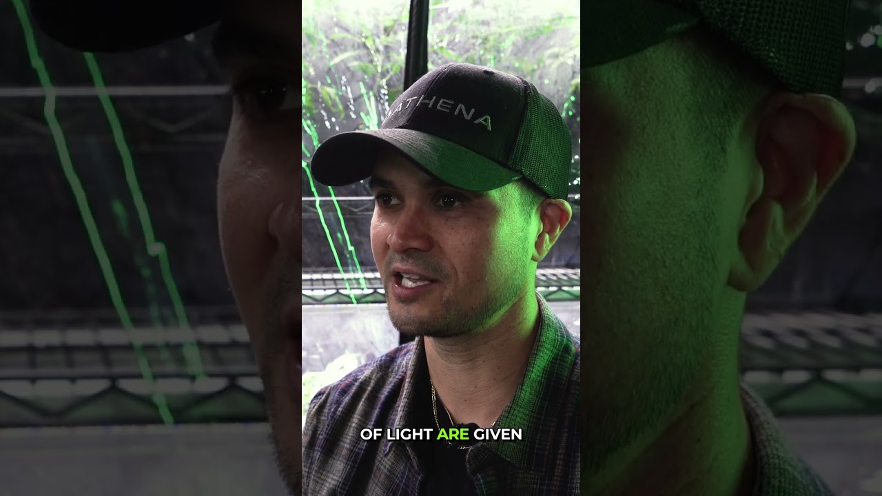 Growlink x SaltsAndLEDs: Spectrum Tuning