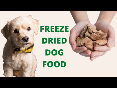 Video: Kodėl „Freeze-Dried Raw“patiekiami taip populiarūs?