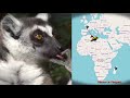 Un futur pour la nature Réserve zoologique de Calviac