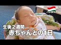 【新生児】ハンガリーハーフ赤ちゃんと過ごす1日｜国際結婚｜子育て初心者