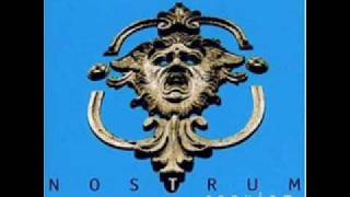 Nostrum - Acid Strings
