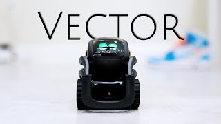 Vector: The Ultimate Smart Home Robot is Here!