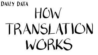 Daily Data: How Translation Works screenshot 3