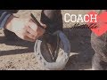 Coach mathilde  les parties du pied 