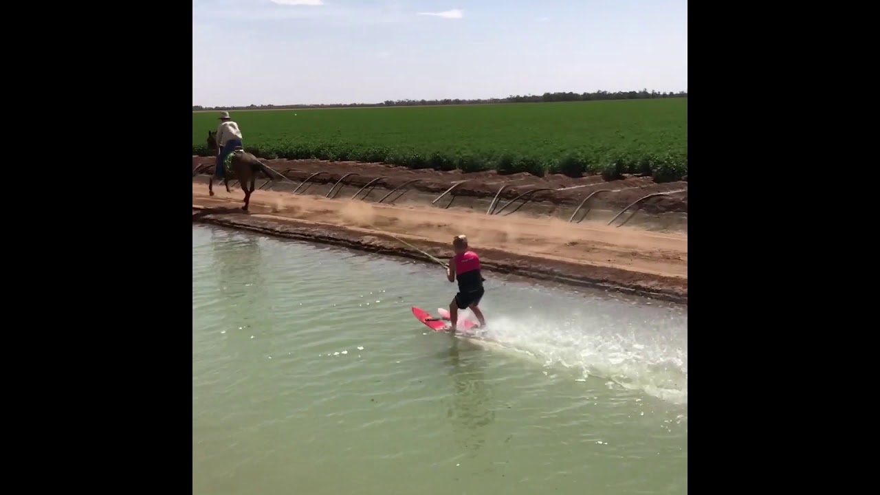 HorsePowered Water Skiing a Treat for Aussie Kid YouTube