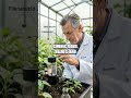 Greywater Gold: Smarter Water in Small Spaces