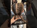 Classic Dutch braids #braids #hairstyles #hair #hairtutorial #braidstyles #hairvideo #hairstyle
