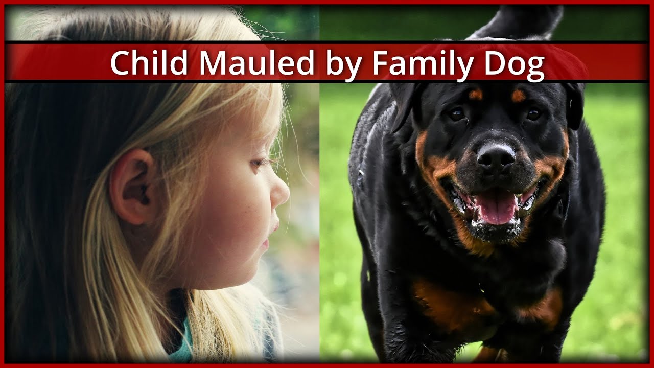 Young Child Mauled by Family Dog - YouTube