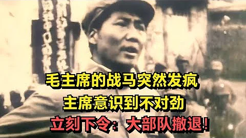 毛主席的戰馬突然發瘋，主席意識到不對勁，立刻下令：大部隊撤退 - 天天要聞