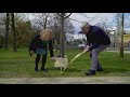 Tree Planting at Wilanów Palace Gardens, Warsaw