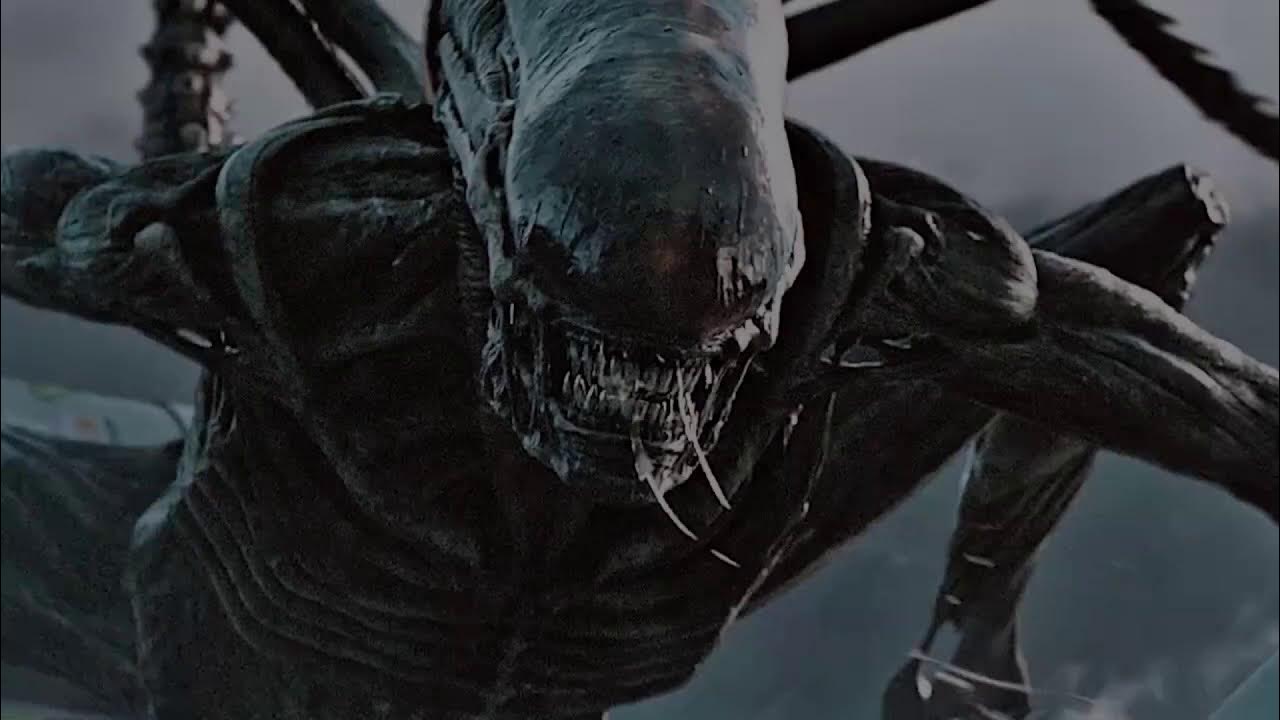 У чужих нет ее. Завет alien. Ксеноморф королева. Шутки про чужого. У чужих нет ее.