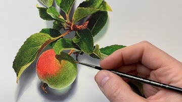 Painting a realistic Apple | Timelapse | Episode 221