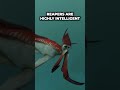 Why Reaper Leviathans Are So Aggressive In Subnautica? #shorts #subnautica