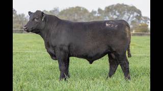 LOT 29 : EZS25W47