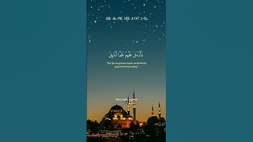 Thumbnail of Surah Al-Fil | Raad Alqurdi #shorts #murottal #quran #indonesia