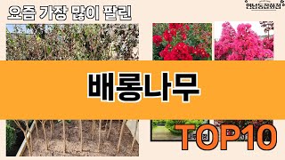 가장 많이 팔린 배롱나무 추천 Top10!