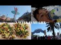 A WEEK IN MY LIFE | PT 3