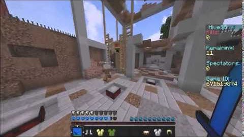 HiveMC Hacker Report {ACCEPTED}