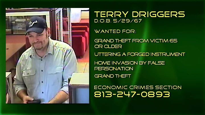 Economic Crimes - Terry Driggers