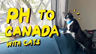Ep 38: Philippines to Canada Pet Travel | Tips, Documents & Experiences | Got Left Behind by plane