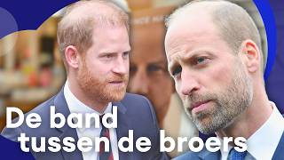 De Bekoelde Band Tussen Prins William En Prins Harry Blauw Bloed