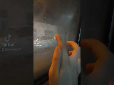Şəbnəm Tovuzlu -