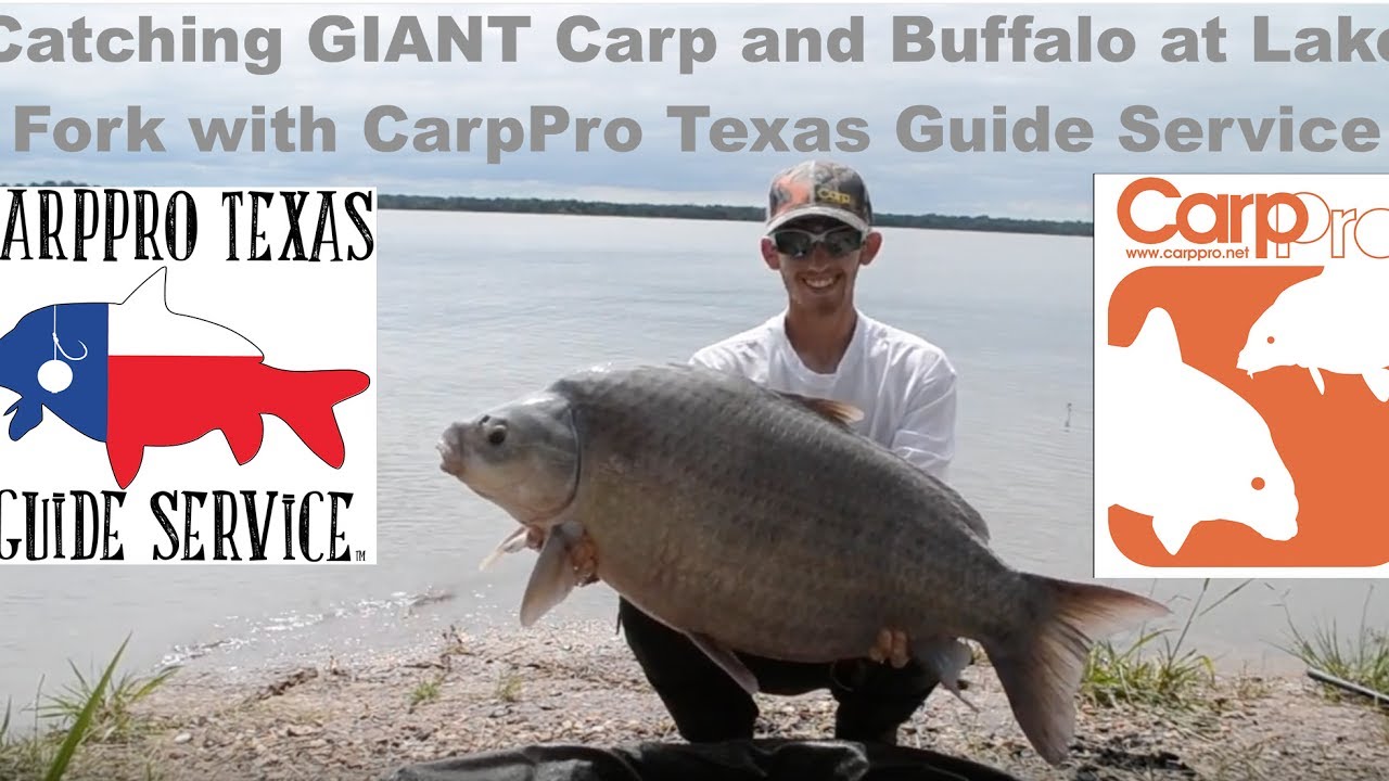 Videos  CarpPro Texas Guide Service