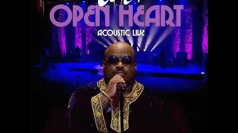 CeeLo Green - Working Class Heroes (Work) (Live)
