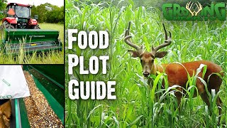 Understanding the Why, How, When, and What of Warm Season Food Plots