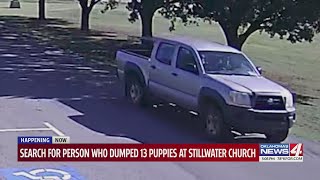 Stillwater Animal Welfare searches for answers after 13 puppies dumped at local church