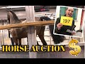 BUYING HORSES AT AUCTION ~What we do