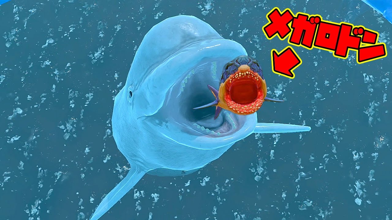 新種のベルーガをメガロドンまる飲みにしちゃうまで大きく育ててサメの海で大暴れしてみた【Feed and grow fish】