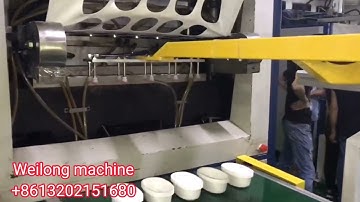 thermoforming machine bowl cup making machine with robot arm
