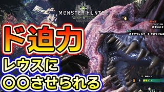 【MHW実況】新モンスター「アンジャナフ」の迫力が凄い「リオレウス」に縄張り争いで〇〇させられる【モンハンワールド　ベータテスト】