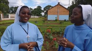 Lsmi Come And See 2021