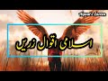 10 aqwal e zareen  islamic aqwal e zareen  urdu qoutes  sunehri batain  kamiyab logon ki  batain