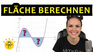 FLÄCHE berechnen INTEGRAL – Integralrechnung Flächenberechnung