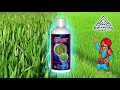 NAGARJUNA SIGNET: Advanced Fungicide for Crop Protection &amp; Higher Yield 🌾 | Agrochemical Solution